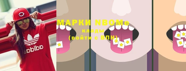 дживик Новозыбков